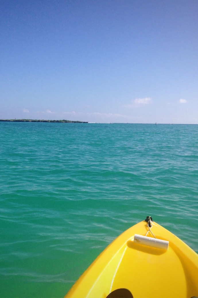 無人島への冒険